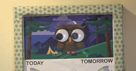 Owl Barometer